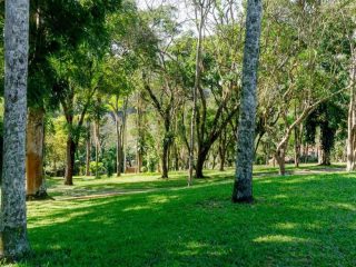 Clínicas de Recuperação e Reabilitação